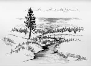 Blue Lake inlet with tree 010